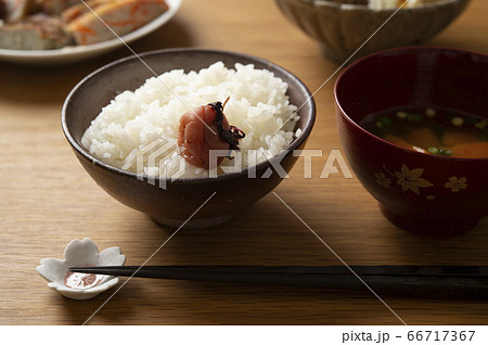 梅干しごはん 66717367