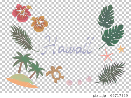 ハワイ南国ペイント画カラーのイラスト素材