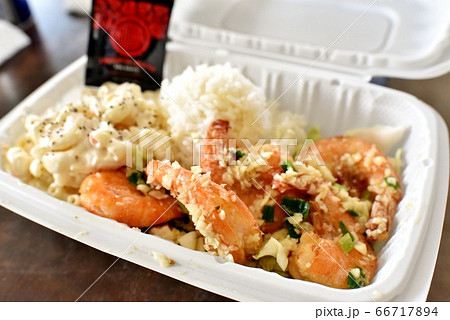 ハワイの休日 66717894