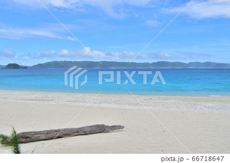 流木と透き通るきれいな碧い海／沖縄県の写真素材 [66718647] - PIXTA