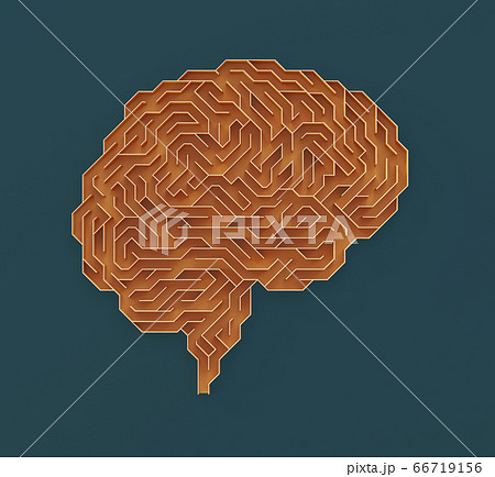 Brain Maze Science And Medical Research 66719156