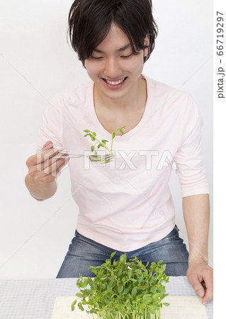 草食系男子 66719297