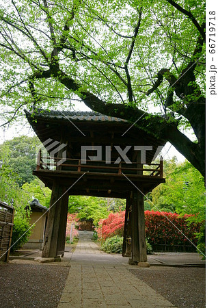 1316 川越 中院 1316 川越 中院 66719718