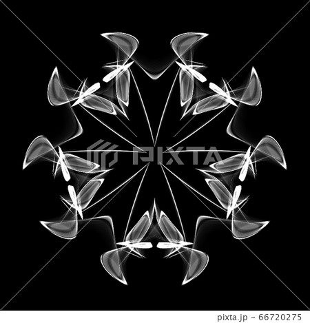 美しい五角形　20200622_008m モノクロ 66720275