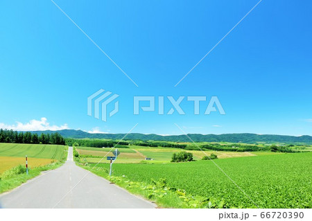 北海道　夏の青空と美瑛の大地 66720390