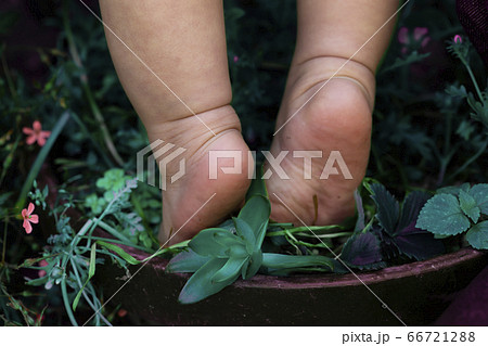 植木鉢に乗って背伸びする赤ちゃんの裸足と足の裏と緑の植物 植木鉢に乗って背伸びする赤ちゃんの裸足と足の裏と緑の植物 66721288