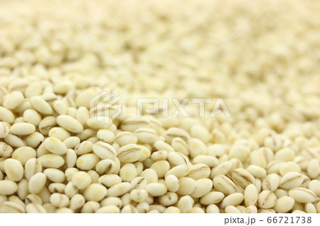 大麦　丸麦　麦ごはん用 66721738