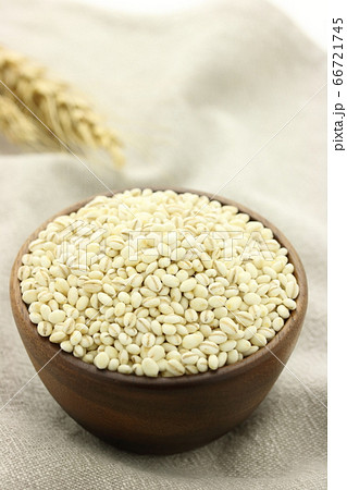 大麦 丸麦 麦ごはん用 大麦 丸麦 麦ごはん用 66721745