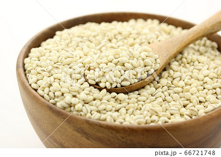 大麦　丸麦　麦ごはん用 66721748