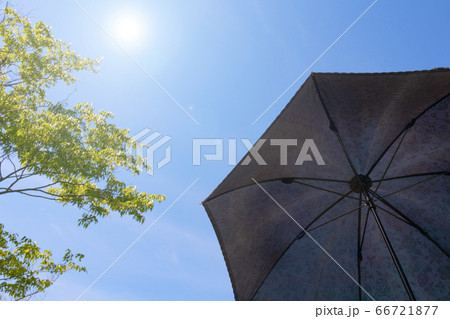 日傘 太陽 青空 日傘 太陽 青空 66721877
