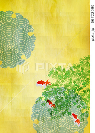 金魚　もみじ　暑中見舞い　背景 66722699