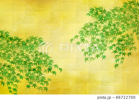 もみじ　新緑　暑中見舞い　背景 66722700