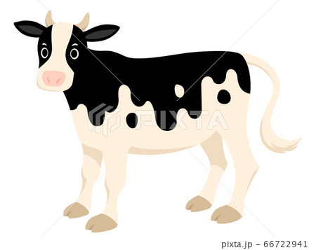 牛のイラストのイラスト素材
