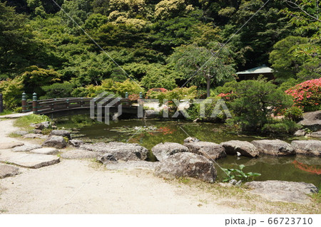 山口県 下関市 長府庭園の木橋と池 66723710