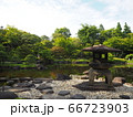 旧古河庭園　バラ園 66723903