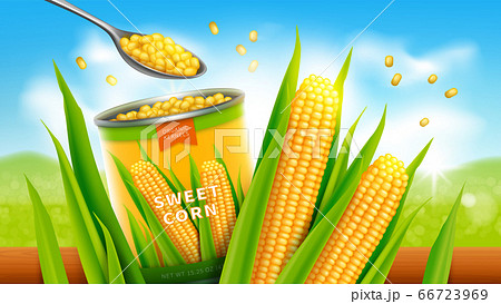 Sweet corn realistic vector advertising poste 66723969