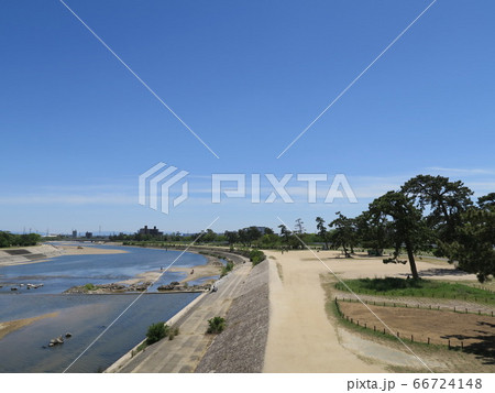 松並木が映える武庫川河川敷公園 松並木が映える武庫川河川敷公園 66724148