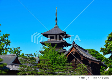 京都　東寺 66724560