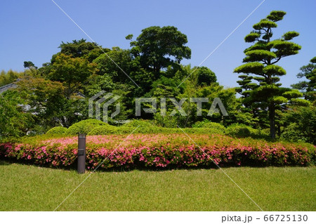 山口県 下関市 長府庭園の日本庭園 山口県 下関市 長府庭園の日本庭園 66725130