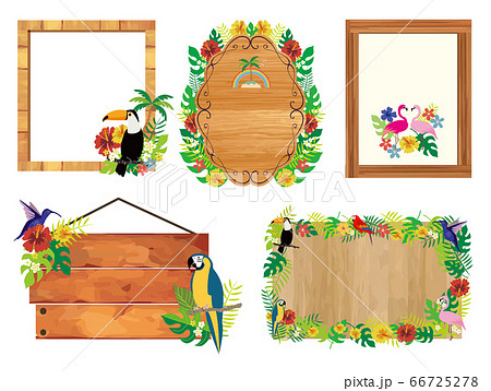 南国フレームイメージイラスト 66725278