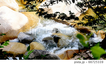 阿寺渓谷の渓流 66725339