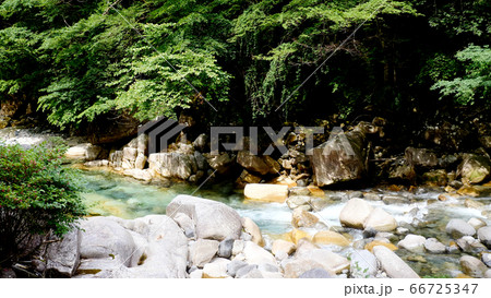 阿寺渓谷の渓流 66725347