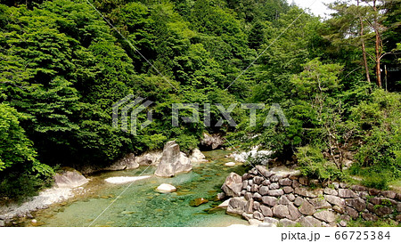 阿寺渓谷の渓流 阿寺渓谷の渓流 66725384