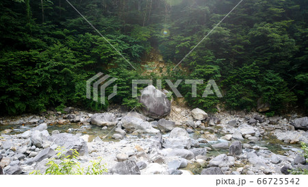 阿寺渓谷の渓流 66725542