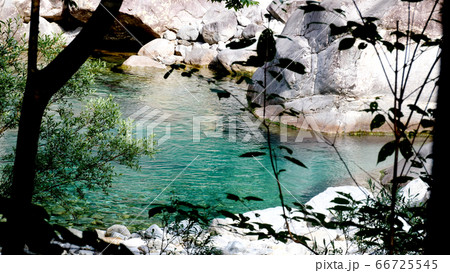 阿寺渓谷の渓流 66725545