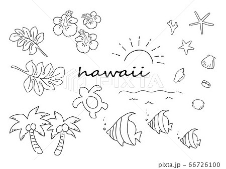 ハワイ南国手描きペン画のイラスト素材