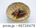 野菜　みょうが 66726479