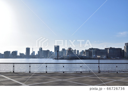 豊洲ぐるり公園から見た晴海埠頭 66726736