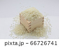 お米 66726741