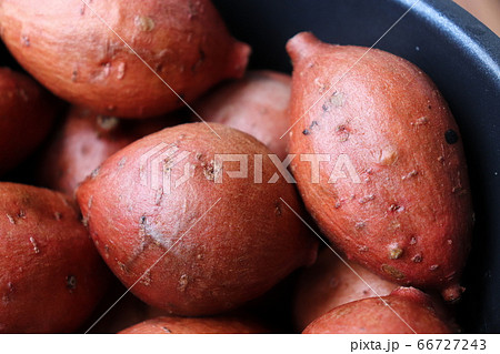 種子島特産の安納芋 種子島特産の安納芋 66727243