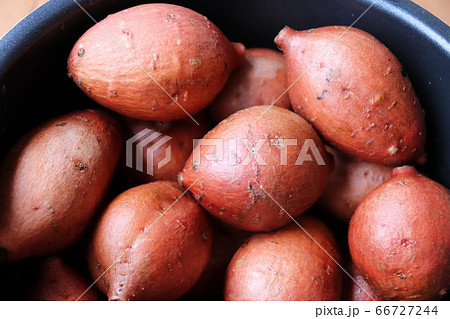 種子島特産の安納芋 種子島特産の安納芋 66727244