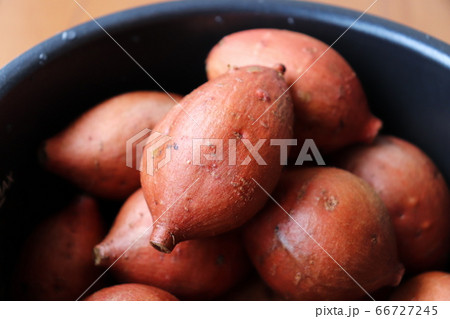種子島特産の安納芋 66727245