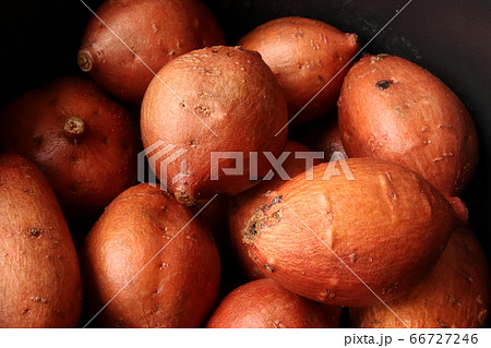 種子島特産の安納芋 種子島特産の安納芋 66727246