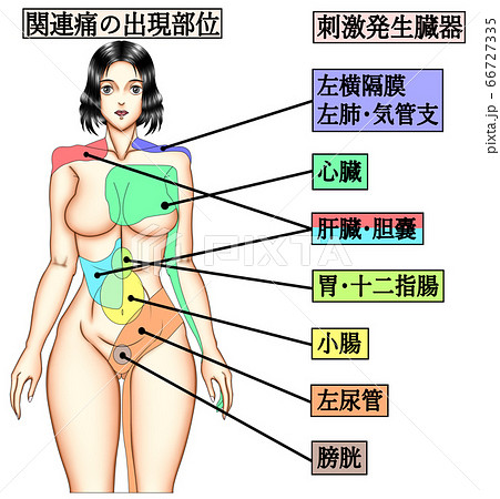 関連痛の出現部位 66727335