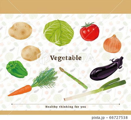 野菜　ベクター　イラストセット 66727538