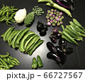家庭菜園でちょっと珍しい野菜も。 66727567