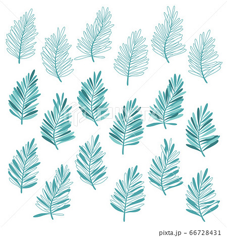 熱帯植物のトロピカルイラスト のイラスト素材