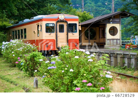 千葉県　アジサイ咲く西畑駅　いすみ鉄道 66728529