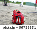 野球グラブ 66729351