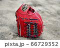 グローブ 66729352