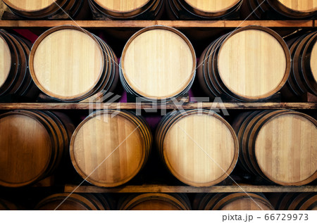 hisoric wine cellar in italy hisoric wine cellar in italy 66729973