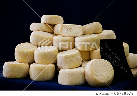 cheese on a market stall 66729975