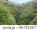 新緑の奥多摩 66730367