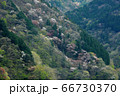 新緑の奥多摩 66730370
