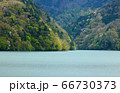 新緑の奥多摩湖 66730373