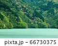 新緑の奥多摩湖 66730375